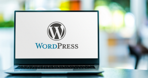 Launch WordPress website